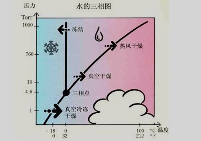 冷凍干燥機(jī)要多久才可以凍干一批物料？